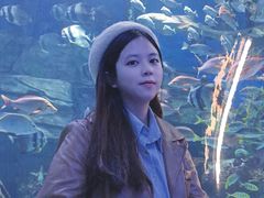 -顺德南宏海立方海洋公园