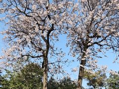 -成都市文化公园
