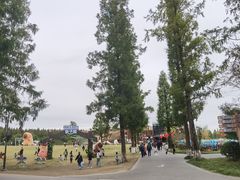 -黄海国家森林公园