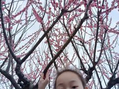-雨花胜境