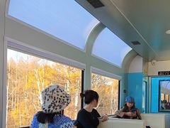 -莫尔道嘎国家森林公园