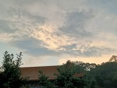 -南宁良凤江国家森林公园