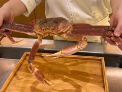 -松临·铁板烧&Omakase(神农店)