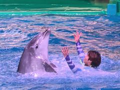 -海合安武汉极地海洋公园