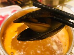 -新发展亚太JW万豪酒店·福苑咖啡厅