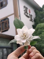 点击看大图 -莲生母婴月子中心(清水河公园店)
