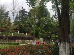 -成飞公园