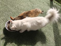 -北京市海淀区尚丽外国语学校(北辛庄路店)