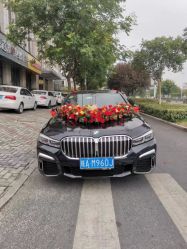 点击看大图 -蚂蚁婚车