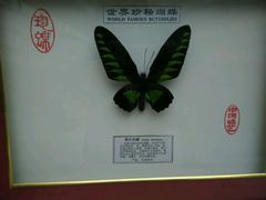 -日照市博物馆