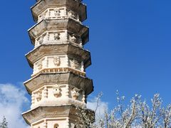 -三塔倒影公园
