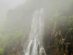 -陕西省红河谷森林公园