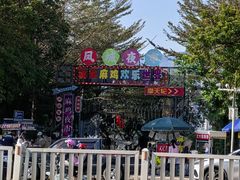 -飞来湖湿地公园