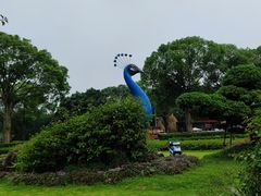 -东南花都花博园