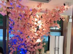 -野妹火锅(龙岗店)