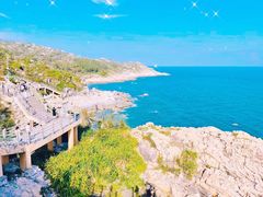 -广东惠东海龟国家级自然保护区