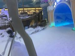 -世界之窗阿尔卑斯冰雪世界