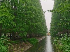 -东平国家森林公园
