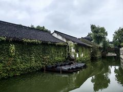 -鲁镇