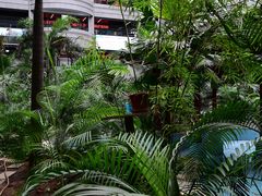 -黑龙江中医药大学附属第一医院