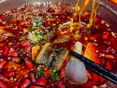 -小四川菜馆(托乐嘉店)