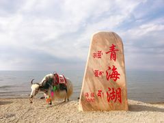 -青海湖国家重点风景名胜区