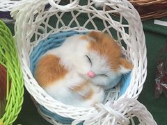 -海窝子古镇