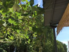 -美家乐农庄·露营·团建(大治路店)