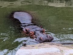 -上海野生动物园