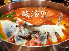 -苗家大院酸汤鱼(贵阳北站店)