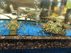 -聚福宝合苑食府(南头镇店)