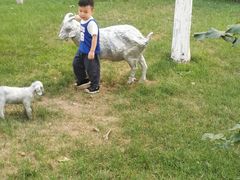 -九十九顶毡房(阜石路店)