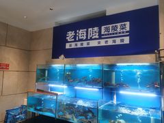 -老海陵·泰州菜(三水湾店)