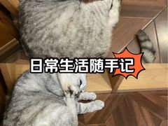 -隅cafe(傅厚岗店)