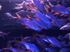 -成都浩海立方海洋公园