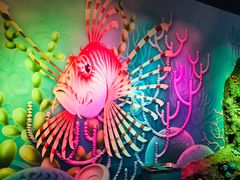 -沈阳海洋探索中心