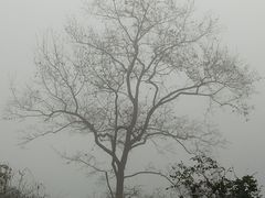-修水东浒寨风景区