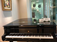 -柏斯音乐艺术中心·钢琴·吉他(上音店)