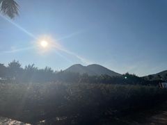 -亚龙湾国际玫瑰谷