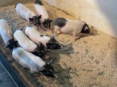-昆明大悦城未来动物城(螺蛳湾中心店)