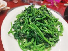 蒜蓉红薯叶-北海港酒楼 海鲜代加工 粤菜(淡村商贸城店)