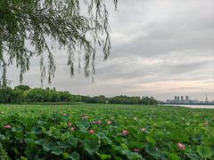 -云龙湖旅游景区