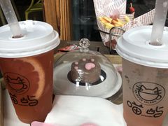 -喵屿·大理花园猫咖