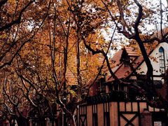 -一尺花园(安和花园店)