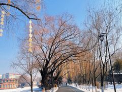 -万泉公园