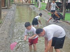 -草根堂农场