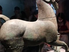 -广西壮族自治区博物馆