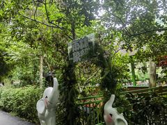 -野象谷景区