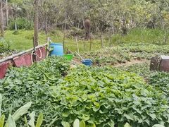 -洞背山庄(洞背院区式管理小区店)