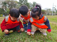 -金点蒙氏国际教育(悠然校区)